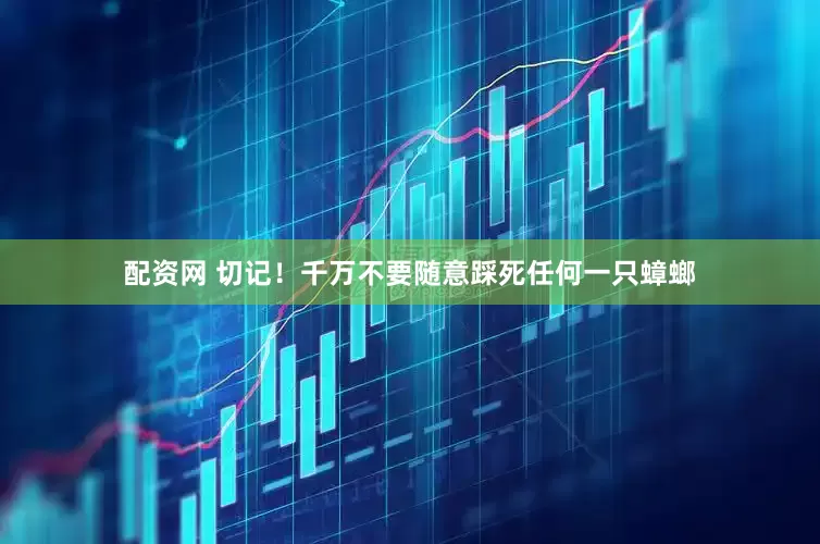 配资网 切记！千万不要随意踩死任何一只蟑螂